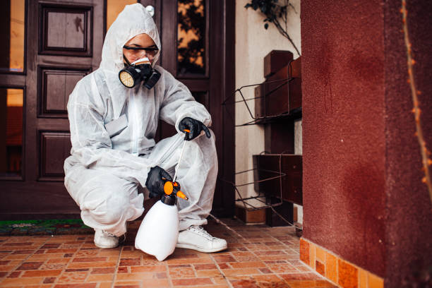 Attic and Crawl Space Rodent Treatment in Central City